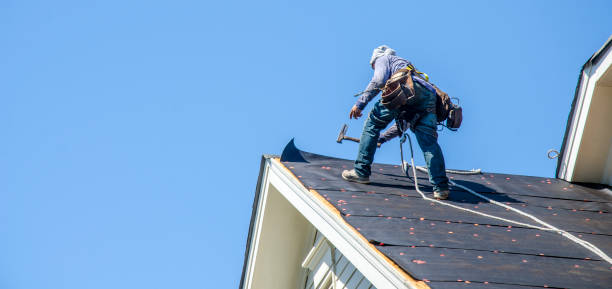Best Roof Leak Repair  in Lexington, VA
